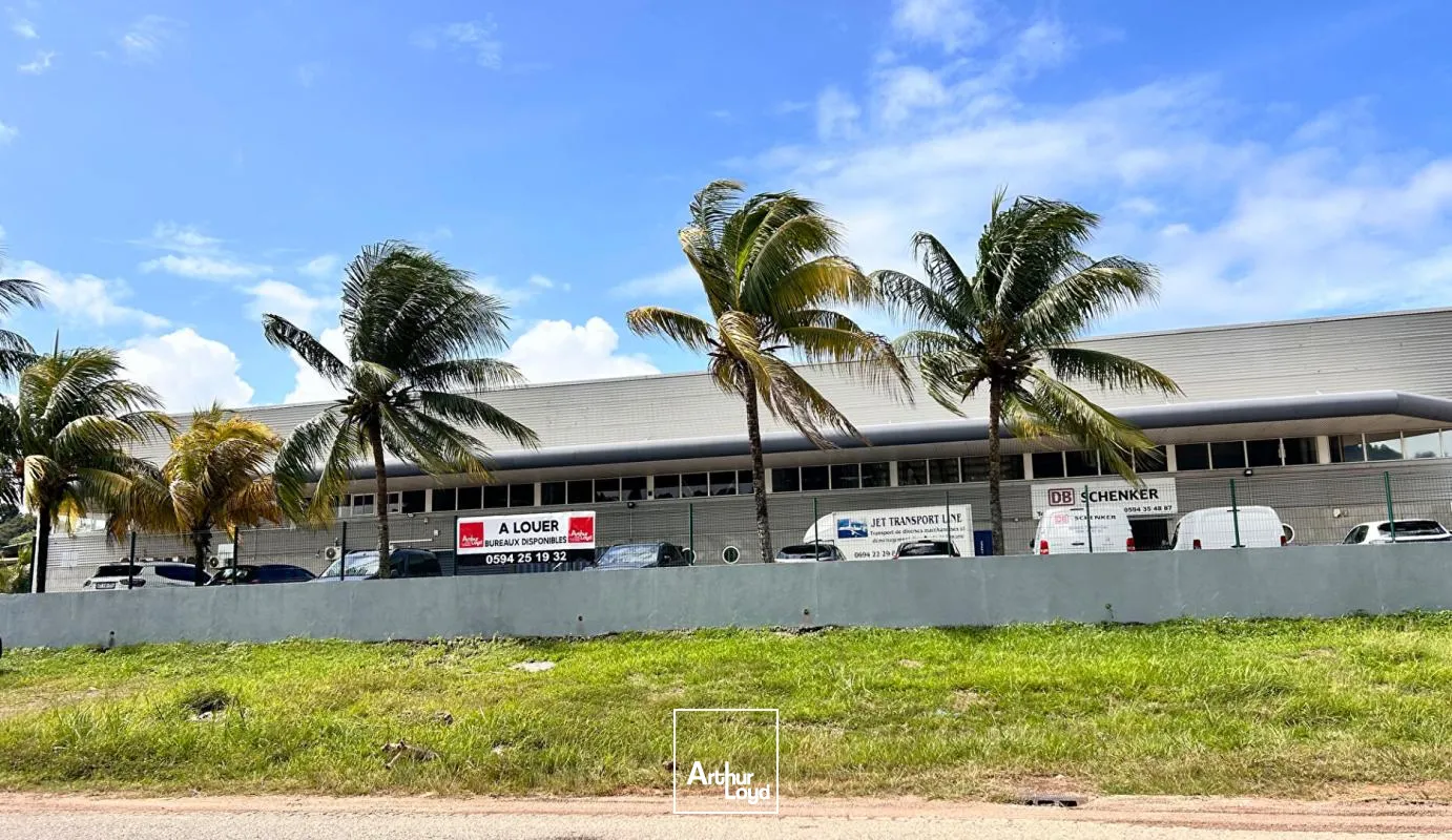 Bureaux - Location - Cayenne - 97300 - 105-105 - 7655100