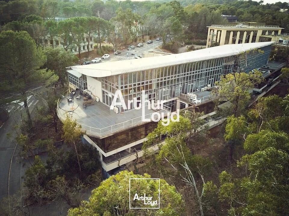 Bureaux - Location - VALBONNE - 06560 - 160-160 - 7655135