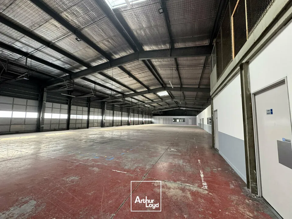 Locaux d'activité & Entrepôts - Location - AVIGNON - 84000 - 1685-1685 - 7655165