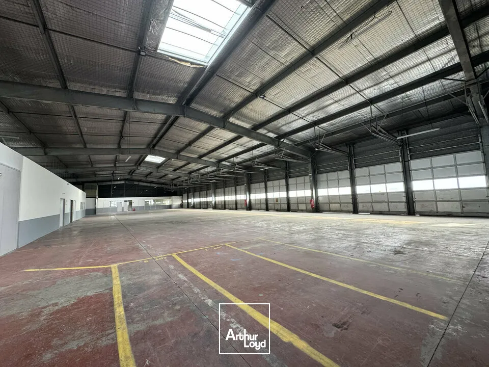 Locaux d'activité & Entrepôts - Location - AVIGNON - 84000 - 1685-1685 - 7655167