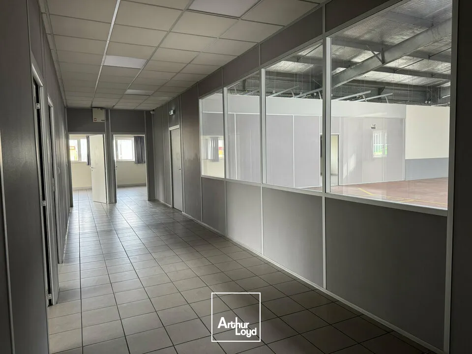 Locaux d'activité & Entrepôts - Location - AVIGNON - 84000 - 1685-1685 - 7655170
