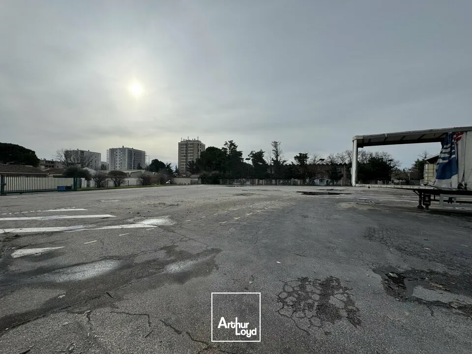 Locaux d'activité & Entrepôts - Location - AVIGNON - 84000 - 1685-1685 - 7655171