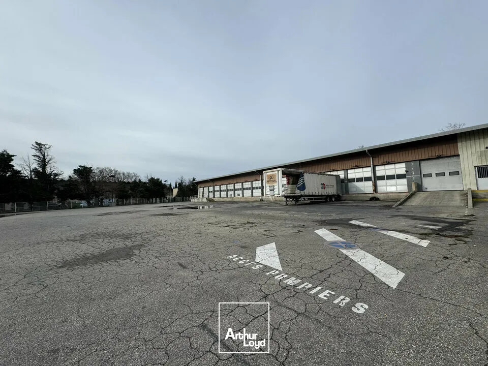Locaux d'activité & Entrepôts - Location - AVIGNON - 84000 - 1685-1685 - 7655164