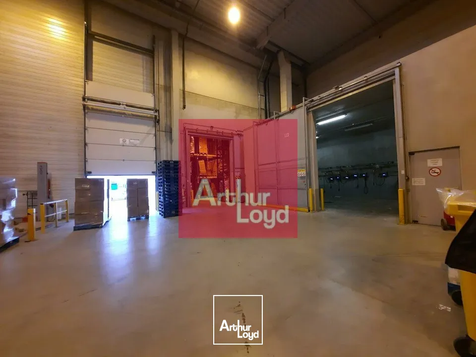 Locaux d'activité & Entrepôts - Location - COURNON D'AUVERGNE - 63800 - 2700-5800 - 7655179