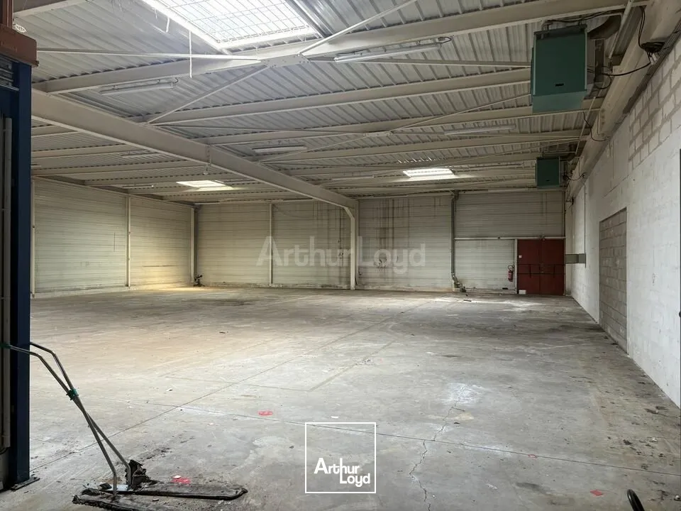 Locaux commerciaux - Location - VENDENHEIM - 67550 - 1850-1850 - 7655209