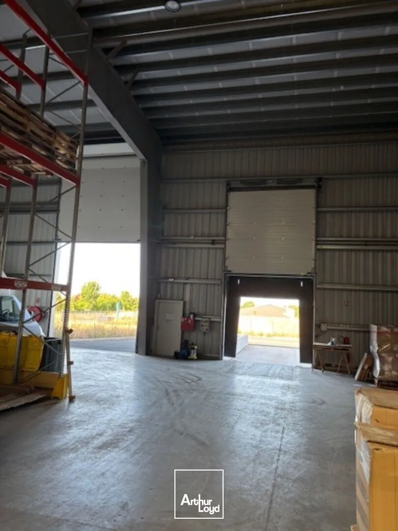 Locaux d'activité & Entrepôts - Vente - SAINTE SOULLE - 17220 - 6543.8-6543.8 - 7655999