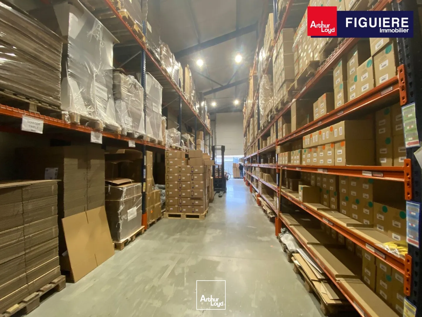 Locaux d'activité & Entrepôts - Location - CHARLEVAL - 13350 - 320-320 - 7658831