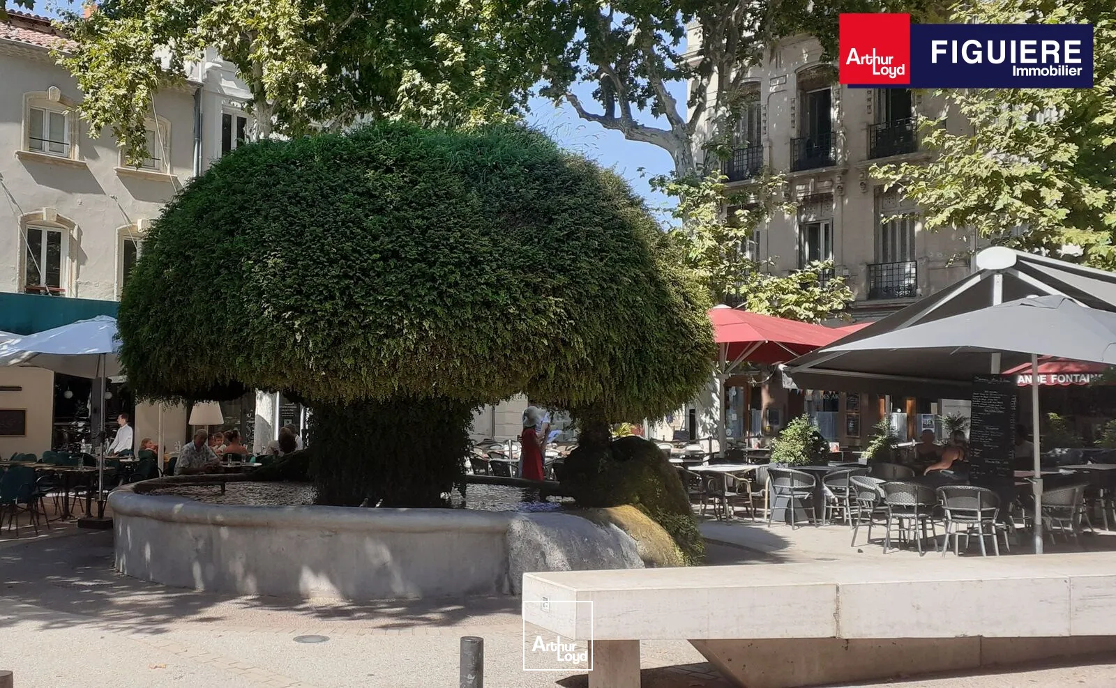 Bureaux - Location - SALON DE PROVENCE - 13300 - 175.33-585.89 - 7659044