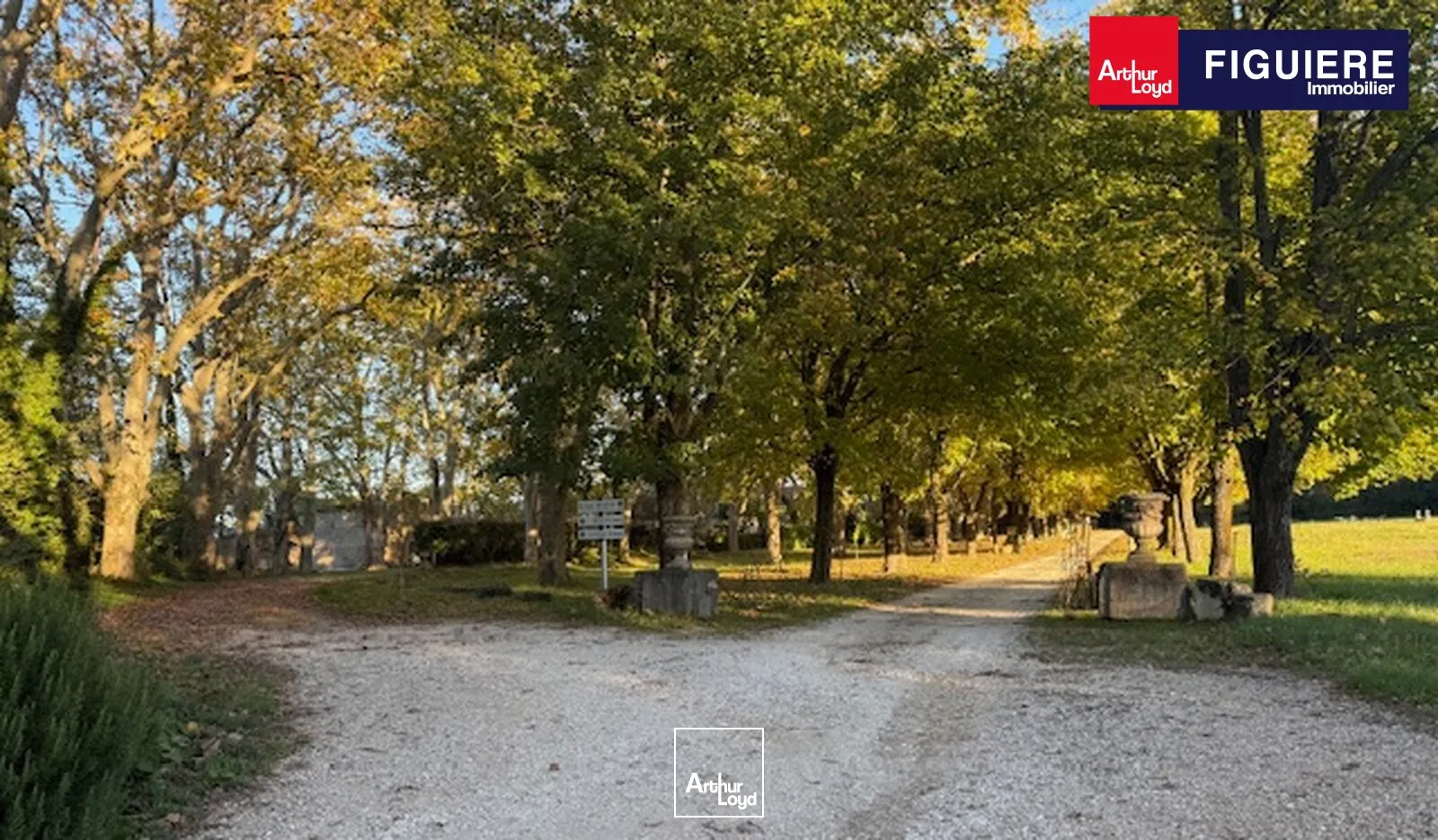 Locaux commerciaux - Vente - MALLEMORT - 13370 - 660-660 - 7659098