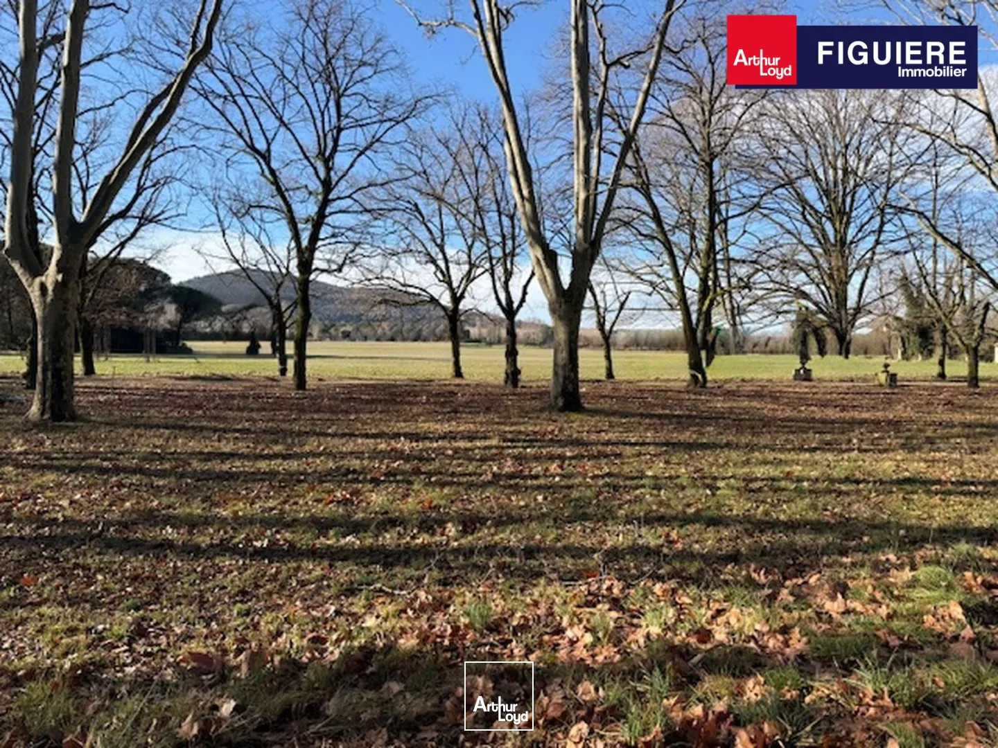 Locaux commerciaux - Vente - MALLEMORT - 13370 - 660-660 - 7659100