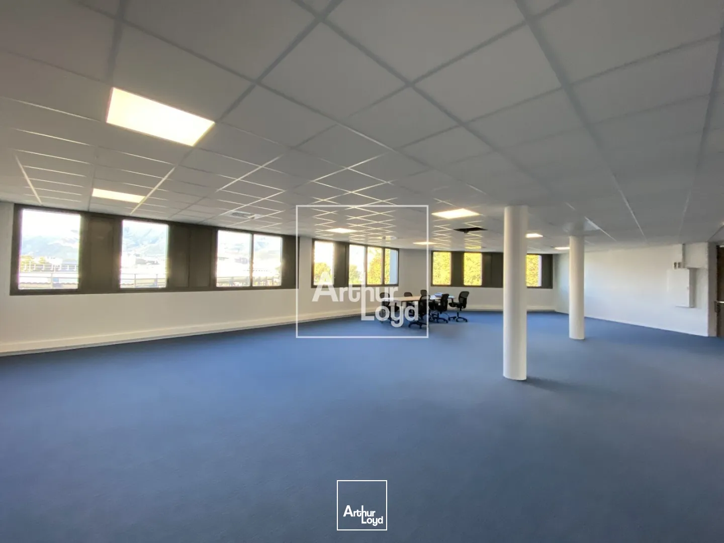 Bureaux - Location - GRENOBLE - 38100 - 511-511 - 7659435