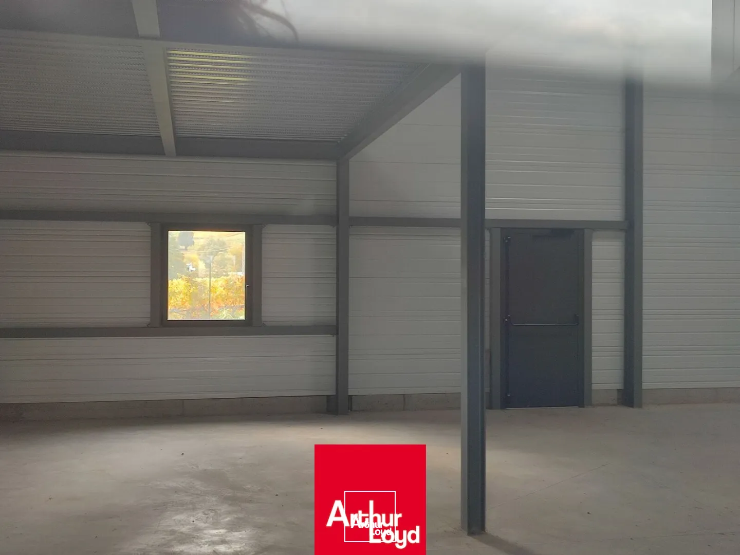 Locaux d'activité & Entrepôts - Vente - SAINT ETIENNE LA VARENNE - 69460 - 300-300 - 7659739