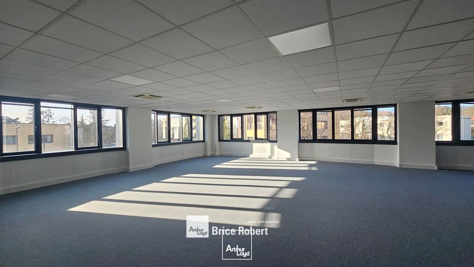 Bureaux - Location - SAINT DIDIER AU MONT D'OR - 69370 - 159-1593 - 7659979