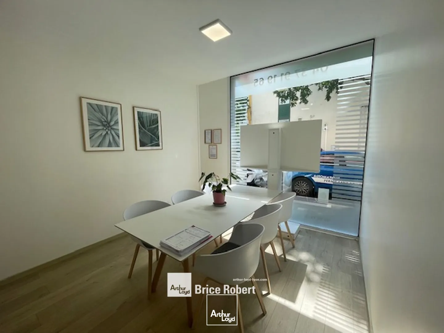 Locaux commerciaux - Location - Lyon - 69003 - 170-170 - 7660111