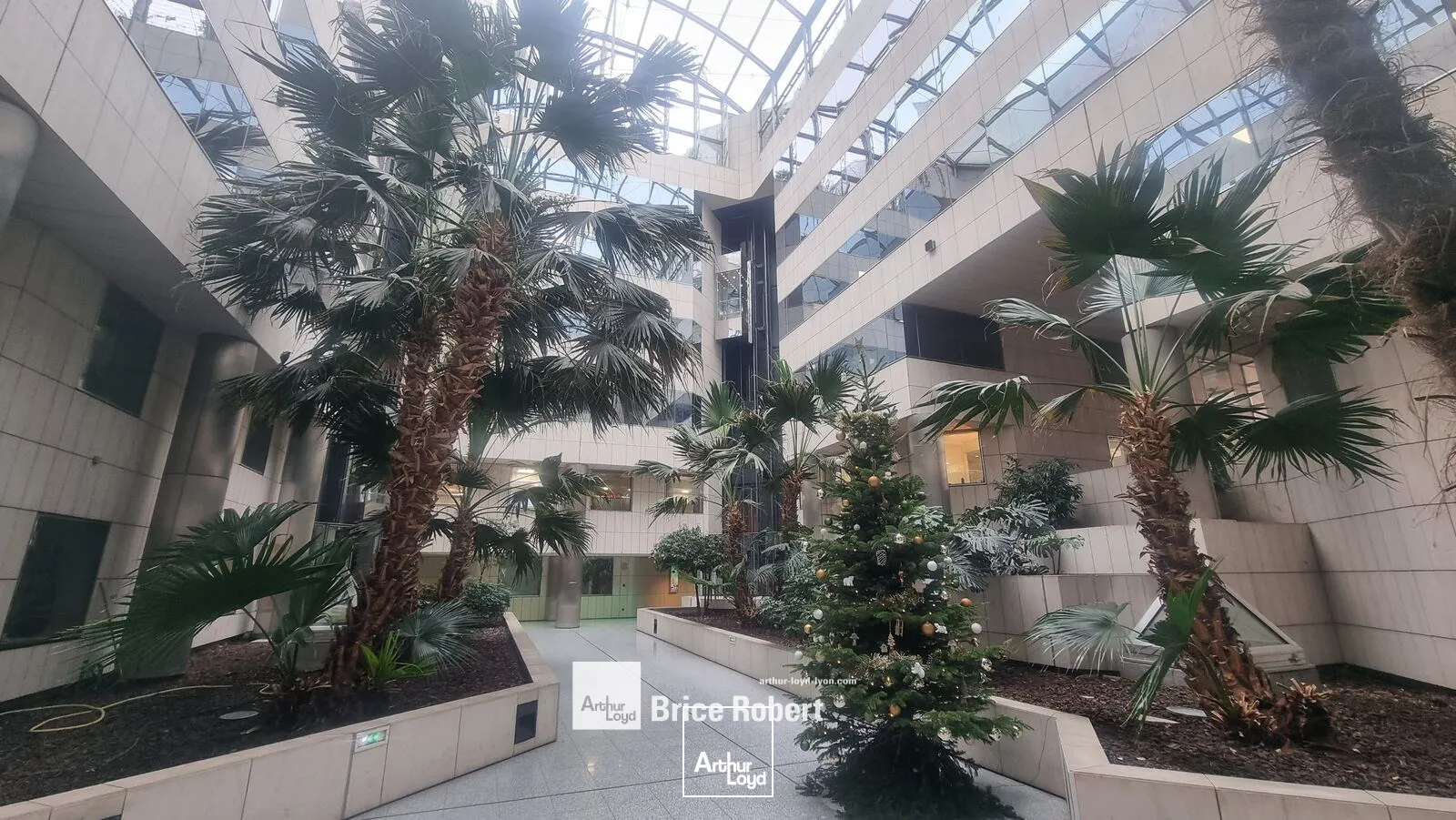 Bureaux - Location - LYON - 69006 - 1054-1054 - 7660200