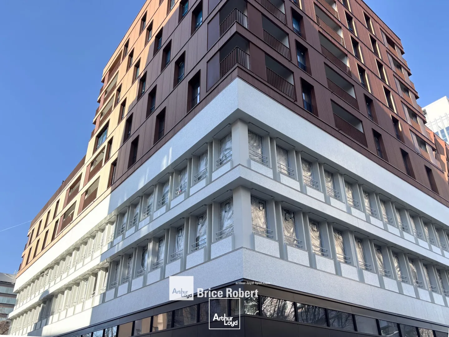 Bureaux - Location - LYON - 69003 - 317-719.2 - 7660407