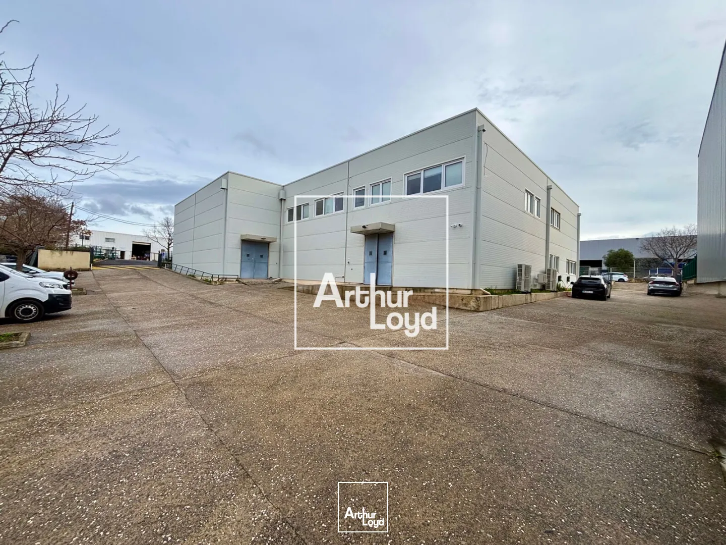 Bureaux - Location - SAINT JEAN DE VEDAS - 34430 - 600-600 - 7660844