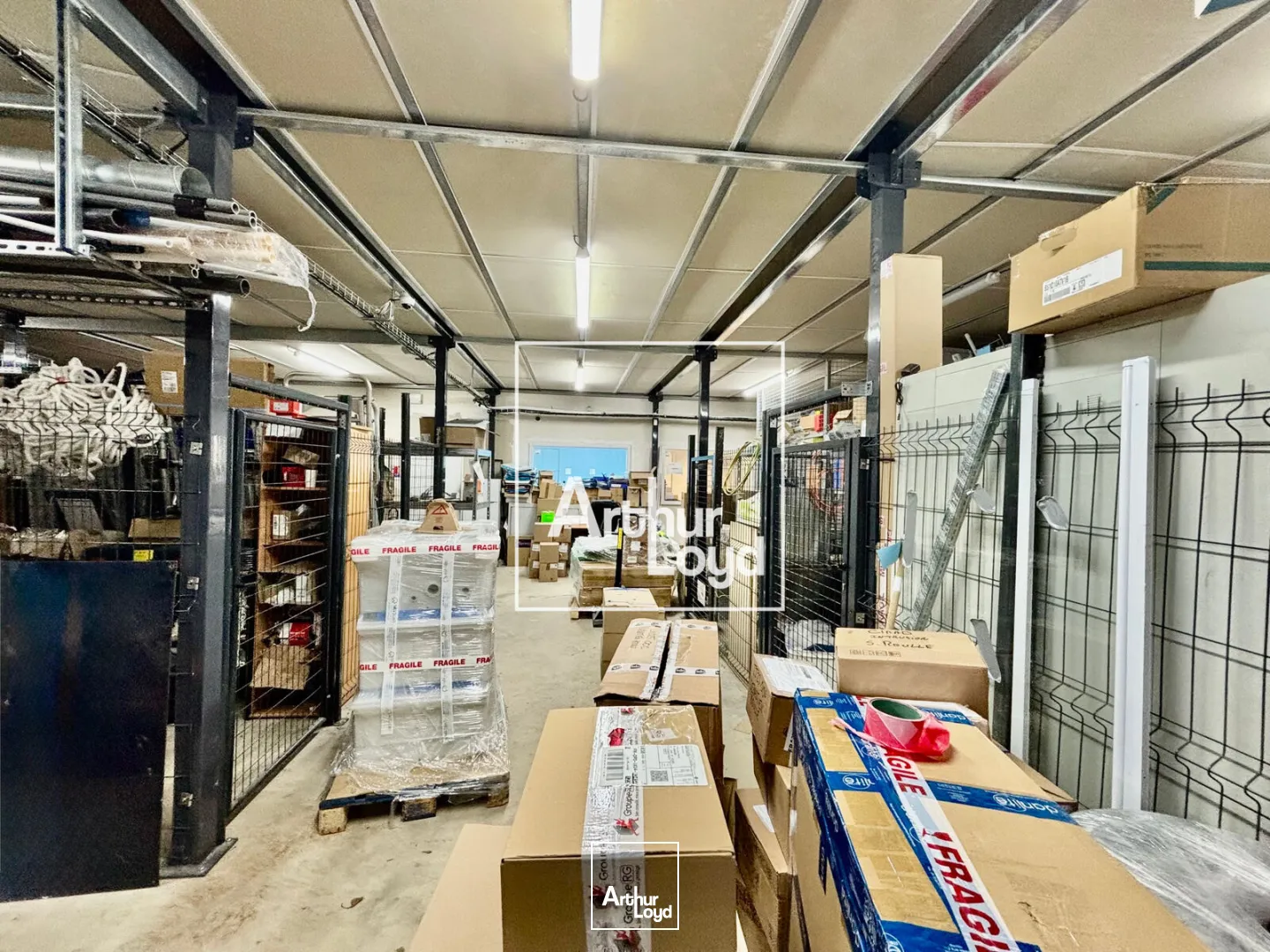 Bureaux - Location - SAINT JEAN DE VEDAS - 34430 - 600-600 - 7660854