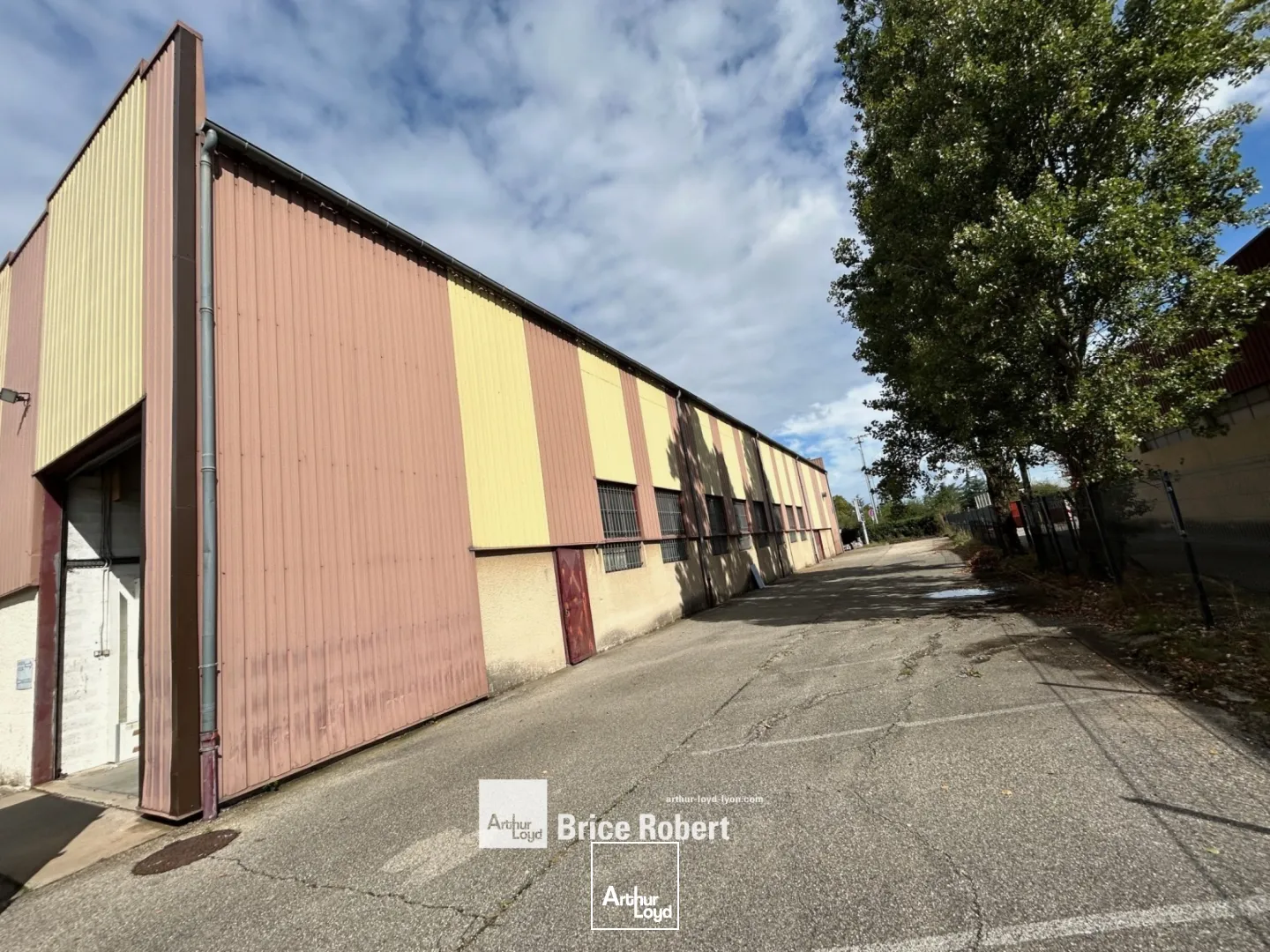 Locaux d'activité & Entrepôts - Location - CHASSIEU - 69680 - 1350-1350 - 7661424