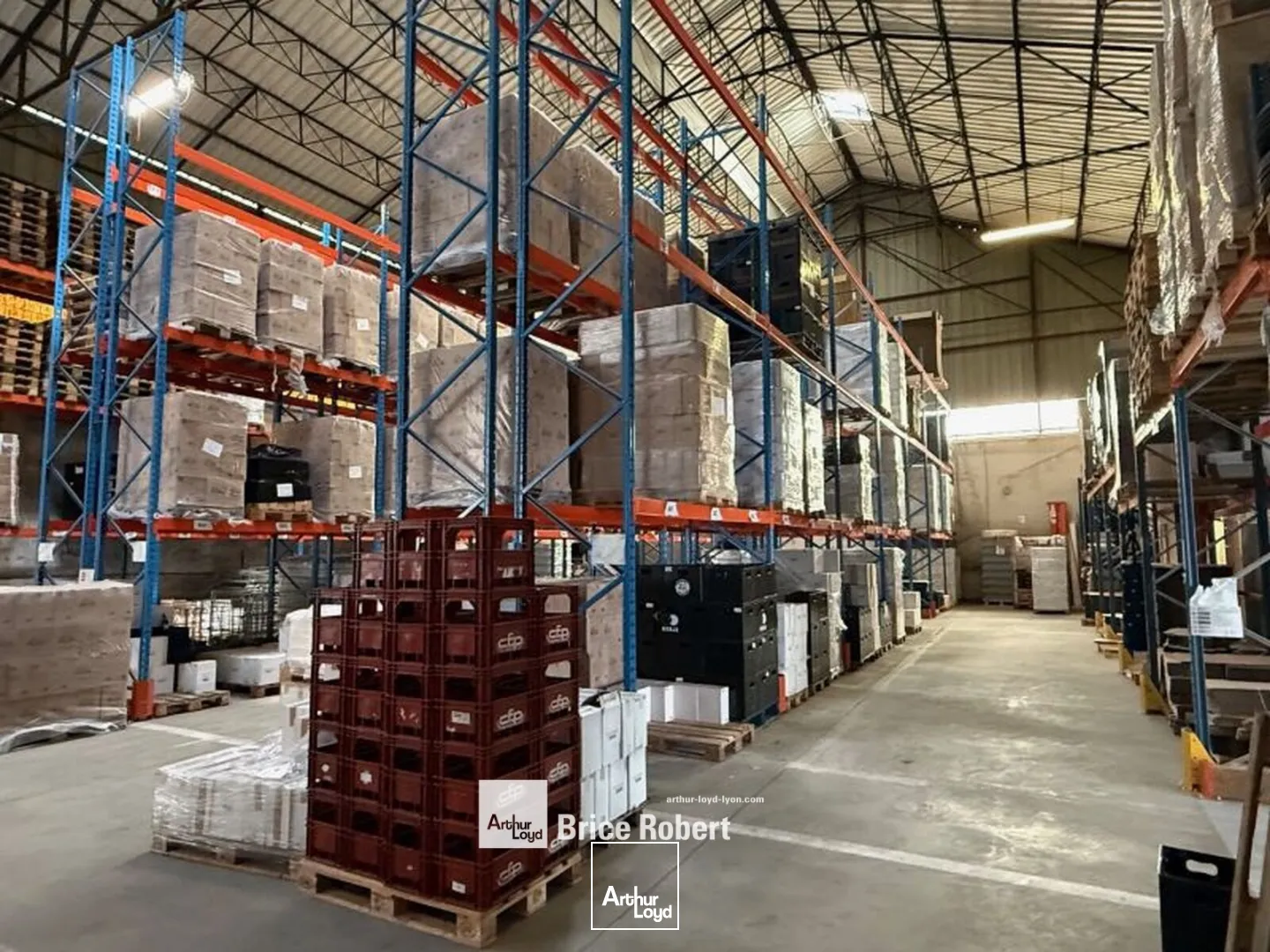 Locaux d'activité & Entrepôts - Location - LYON - 69007 - 1217-1217 - 7661449