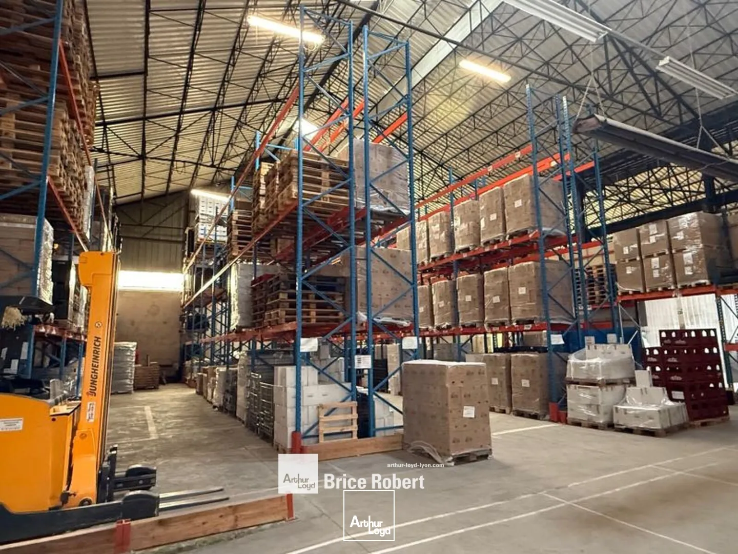 Locaux d'activité & Entrepôts - Location - LYON - 69007 - 1217-1217 - 7661450