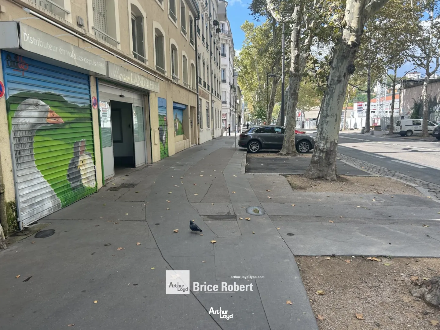 Locaux d'activité & Entrepôts - Vente - LYON - 69002 - 550-550 - 7661475