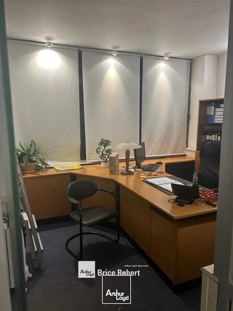 Locaux d'activité & Entrepôts - Vente - LYON - 69002 - 550-550 - 7661479