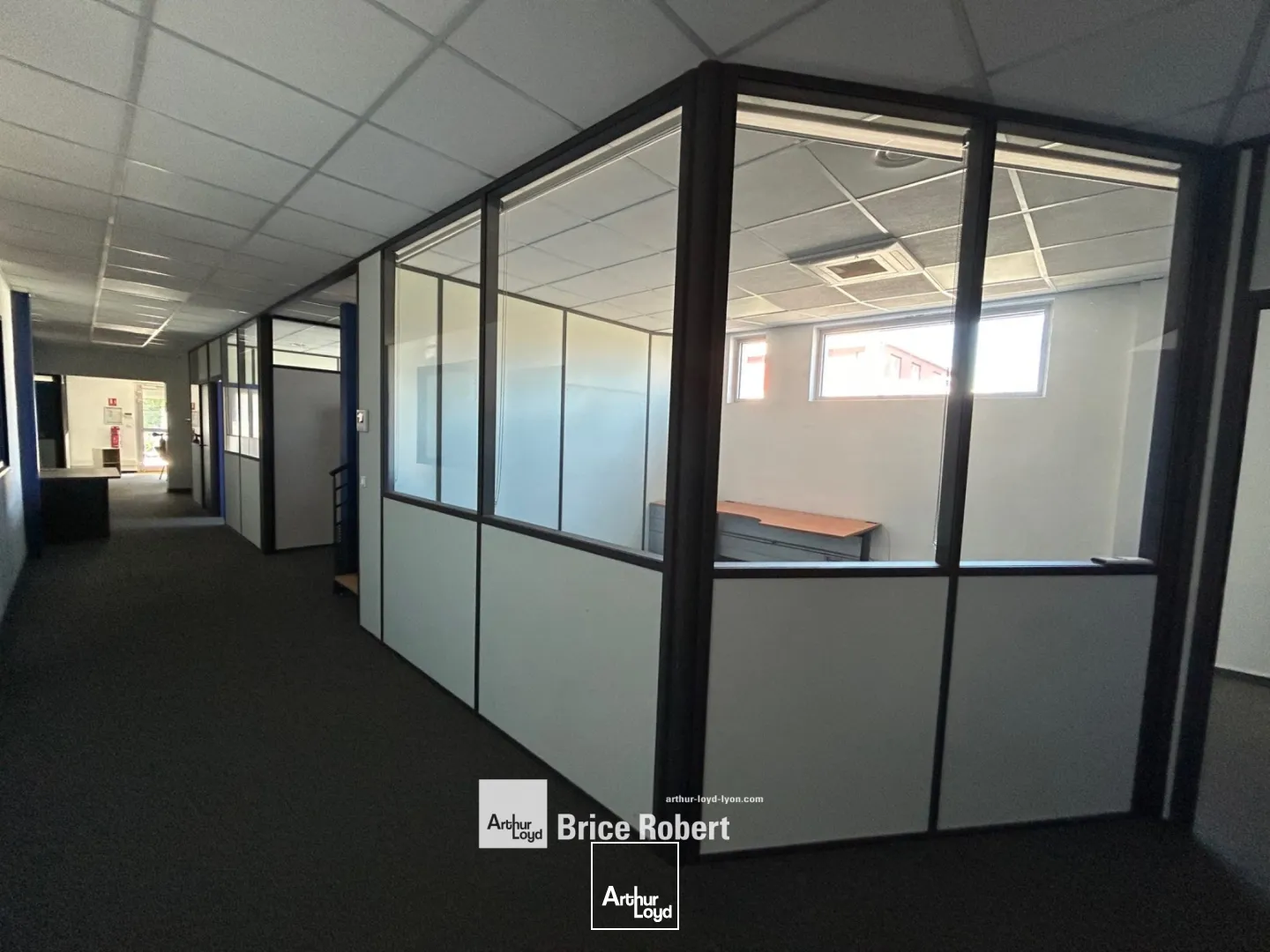 Locaux d'activité & Entrepôts - Location - IRIGNY - 69540 - 1230-1230 - 7661648