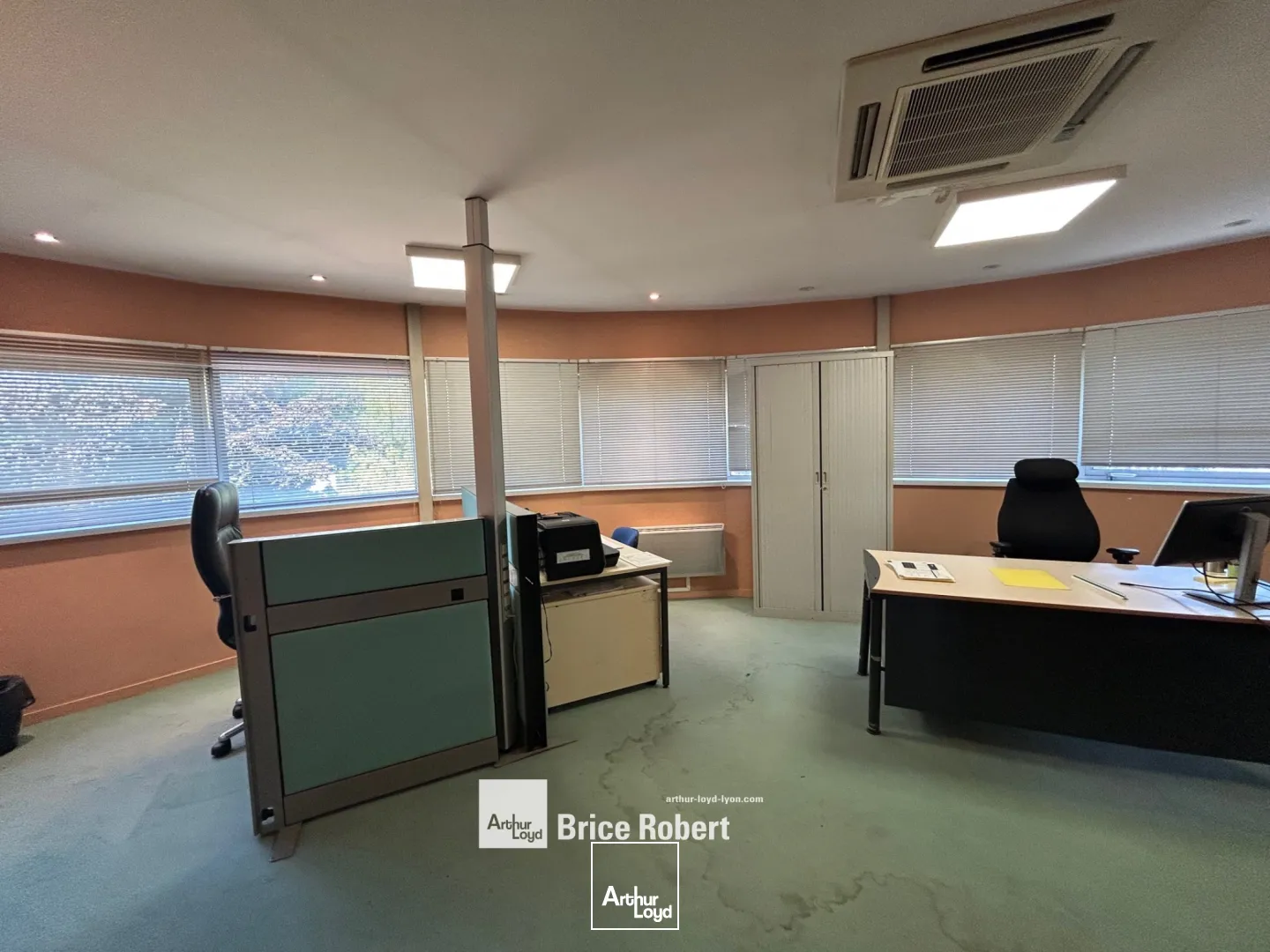 Locaux d'activité & Entrepôts - Vente - CHASSIEU - 69680 - 1106-1106 - 7661718