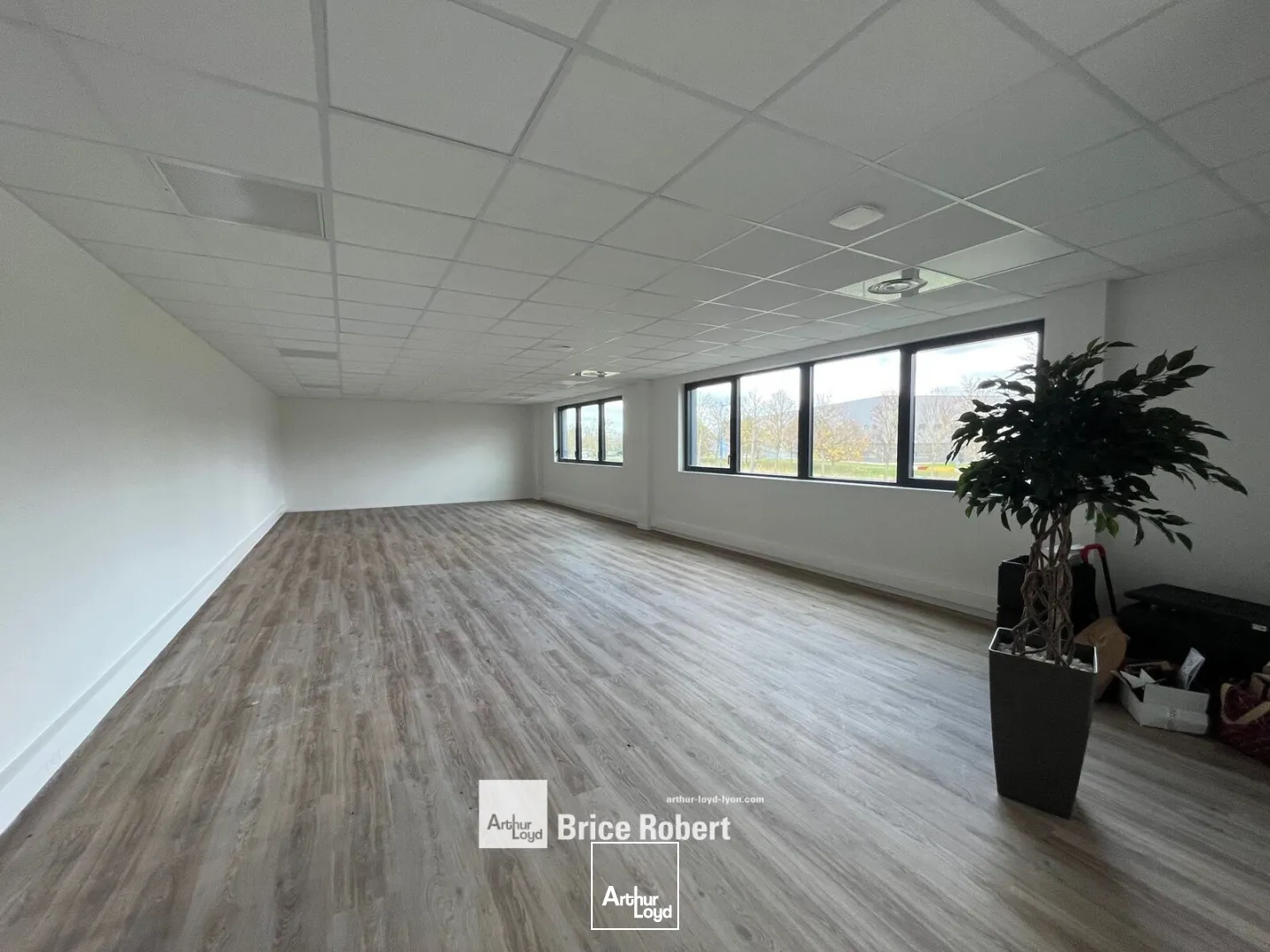 Locaux d'activité & Entrepôts - Location - SAINT LAURENT DE MURE - 69720 - 365-5608 - 7661815