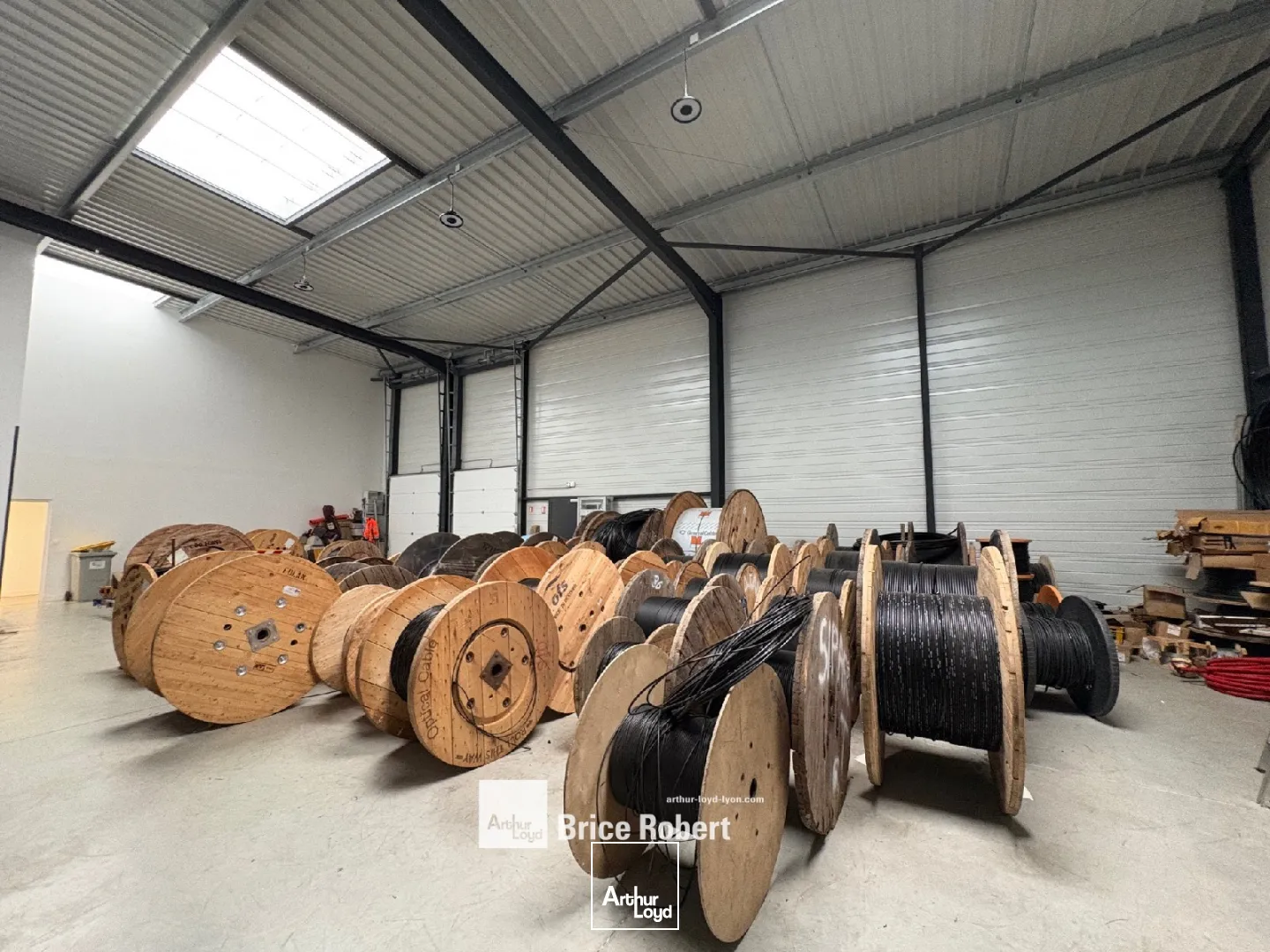 Locaux d'activité & Entrepôts - Vente - VAULX MILIEU - 38090 - 446.7-446.7 - 7661824