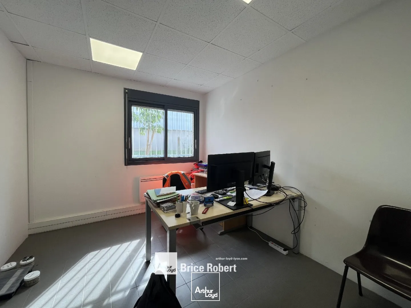 Locaux d'activité & Entrepôts - Location - CHASSIEU - 69680 - 230-230 - 7661840