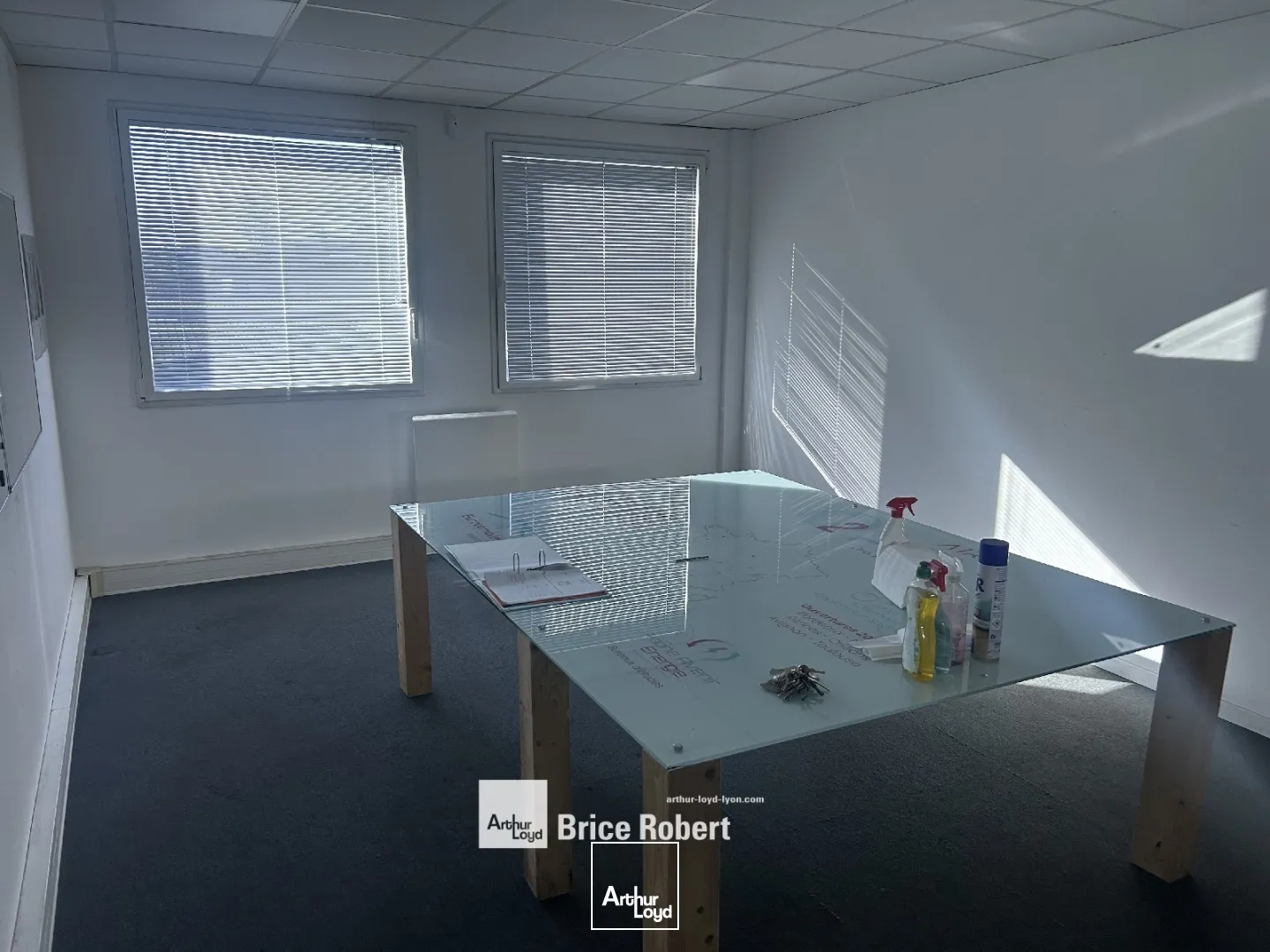 Locaux d'activité & Entrepôts - Location - BRIGNAIS - 69530 - 230-230 - 7661845