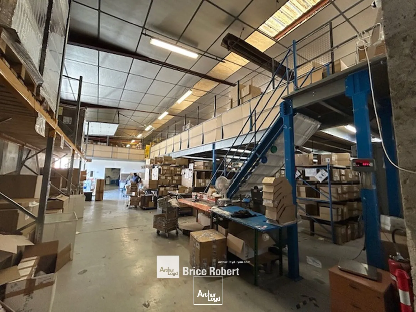 Locaux d'activité & Entrepôts - Location - CHASSIEU - 69680 - 1600-1600 - 7661855