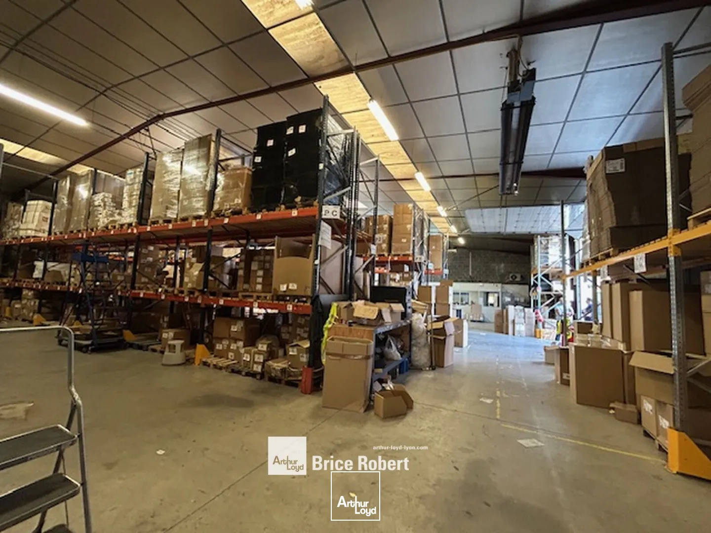 Locaux d'activité & Entrepôts - Location - CHASSIEU - 69680 - 1600-1600 - 7661856