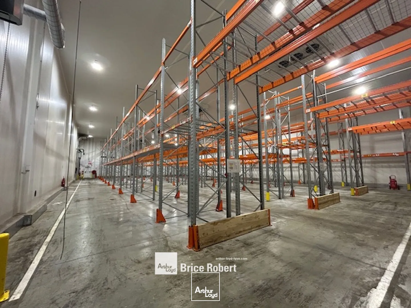 Locaux d'activité & Entrepôts - Location - CORBAS - 69960 - 7064-7064 - 7661865