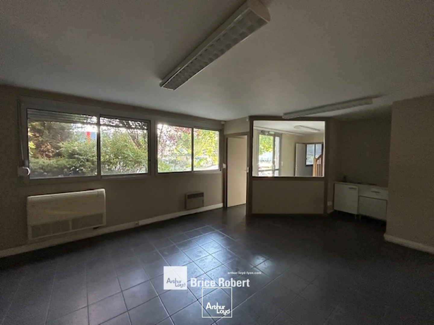 Locaux d'activité & Entrepôts - Location - TREVOUX - 01600 - 1169-1169 - 7661885