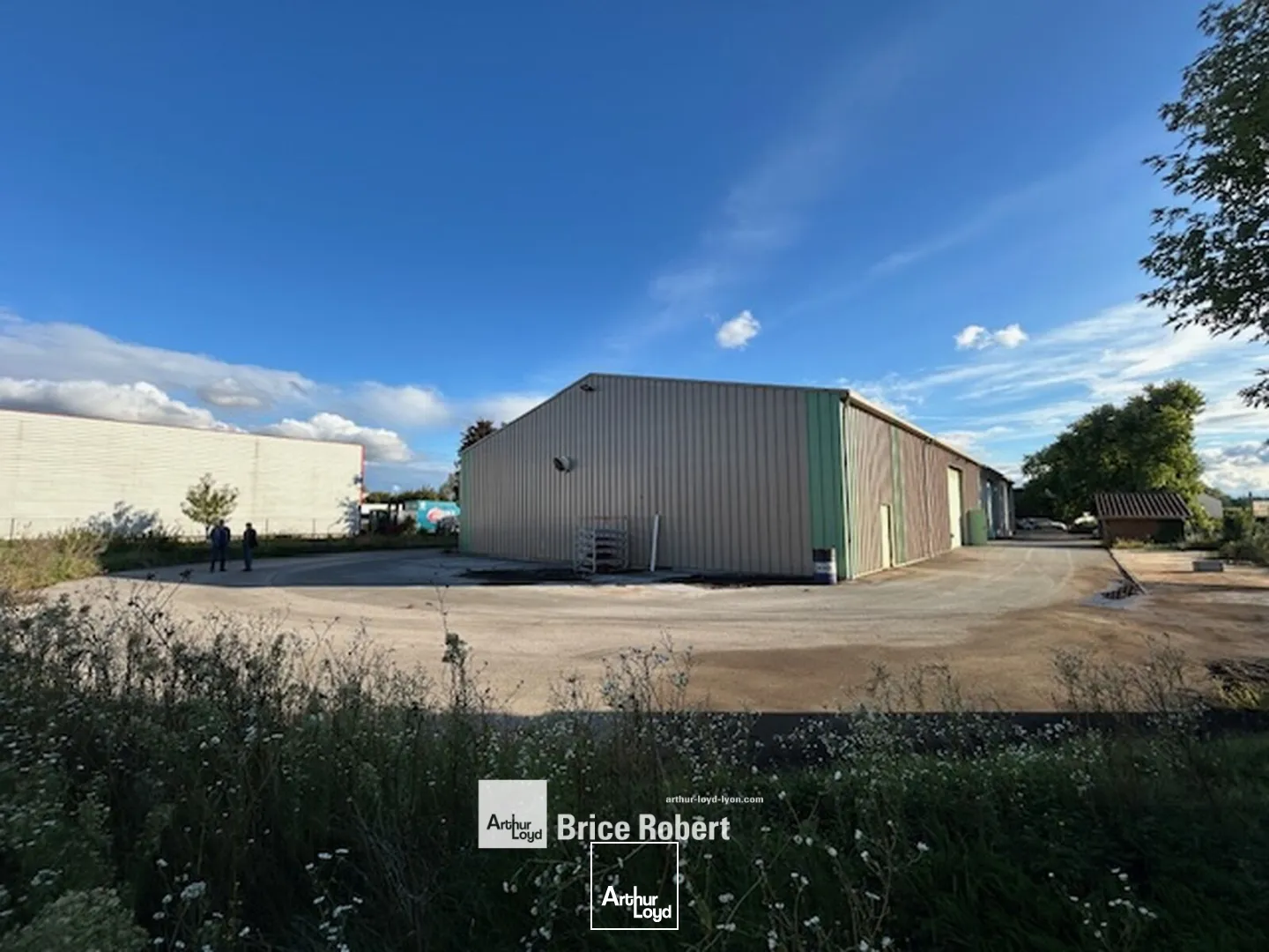 Locaux d'activité & Entrepôts - Location - TREVOUX - 01600 - 1169-1169 - 7661884