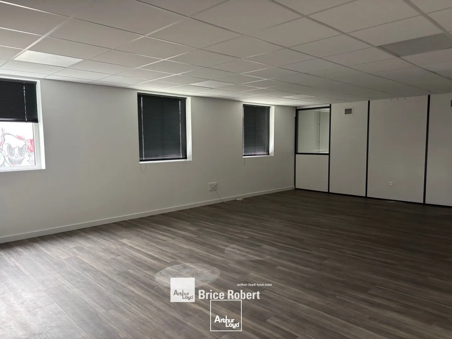 Locaux d'activité & Entrepôts - Location - LYON - 69007 - 729-729 - 7661898