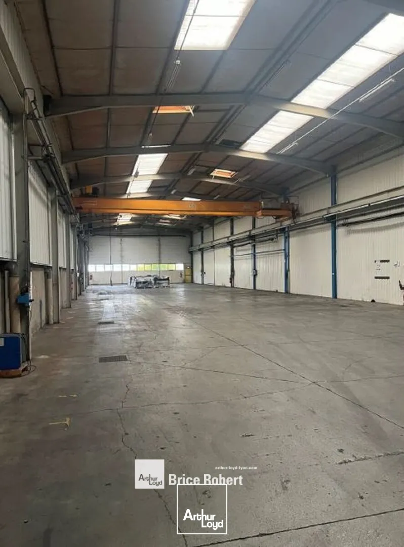 Locaux d'activité & Entrepôts - Location - BELIGNEUX - 01360 - 1570-3480 - 7661913