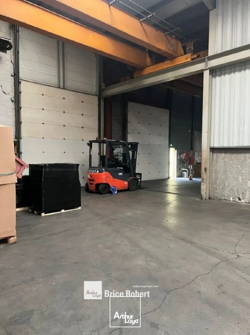 Locaux d'activité & Entrepôts - Location - BELIGNEUX - 01360 - 1570-3480 - 7661914