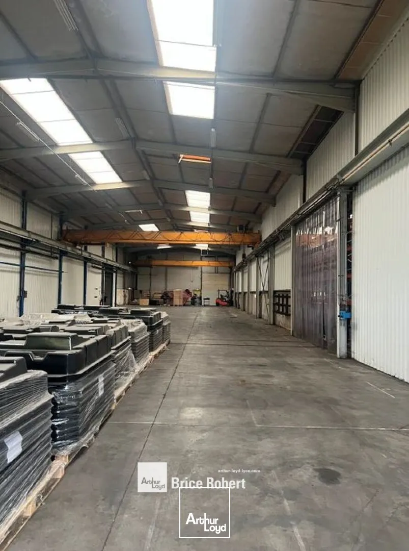 Locaux d'activité & Entrepôts - Location - BELIGNEUX - 01360 - 1570-3480 - 7661915