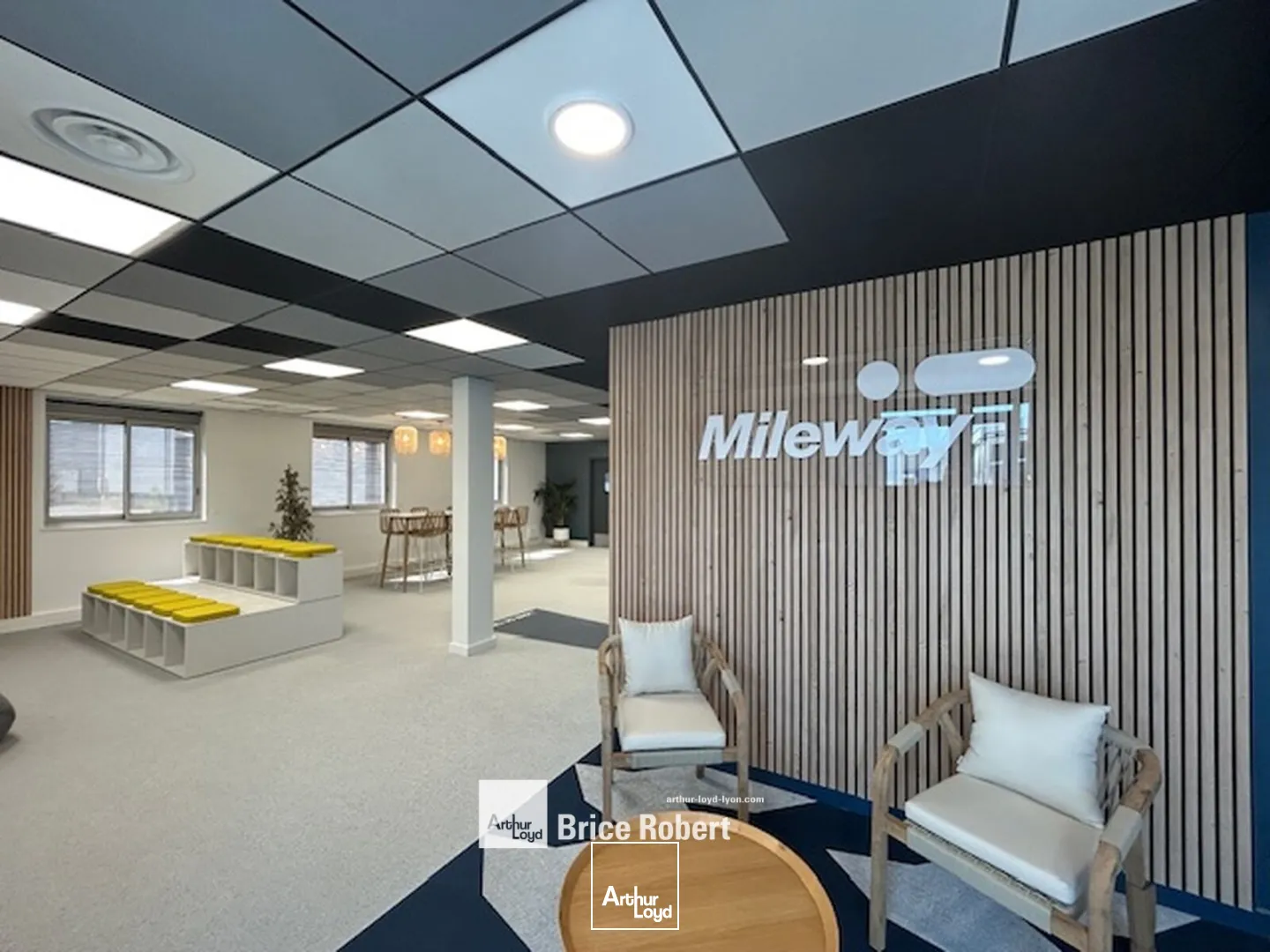 Locaux d'activité & Entrepôts - Location - MIRIBEL - 01700 - 3603-3603 - 7661941