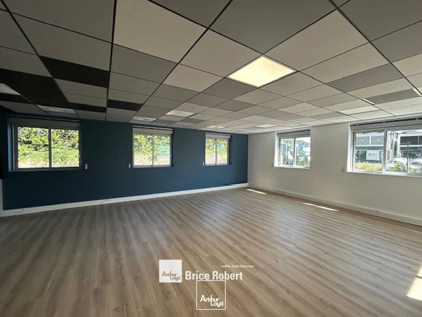 Locaux d'activité & Entrepôts - Location - MIRIBEL - 01700 - 3603-3603 - 7661942