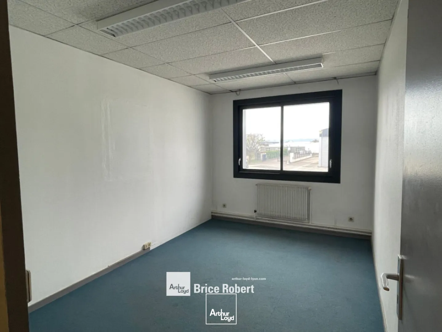 Locaux d'activité & Entrepôts - Location - CHASSIEU - 69680 - 806-806 - 7662039