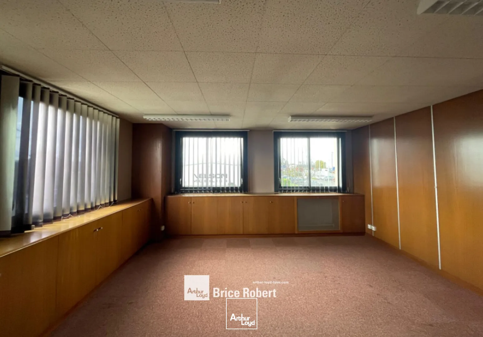 Locaux d'activité & Entrepôts - Location - CHASSIEU - 69680 - 806-806 - 7662041