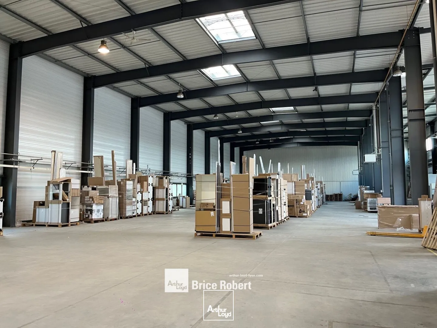 Locaux d'activité & Entrepôts - Location - MEYZIEU - 69330 - 1531-1531 - 7662073