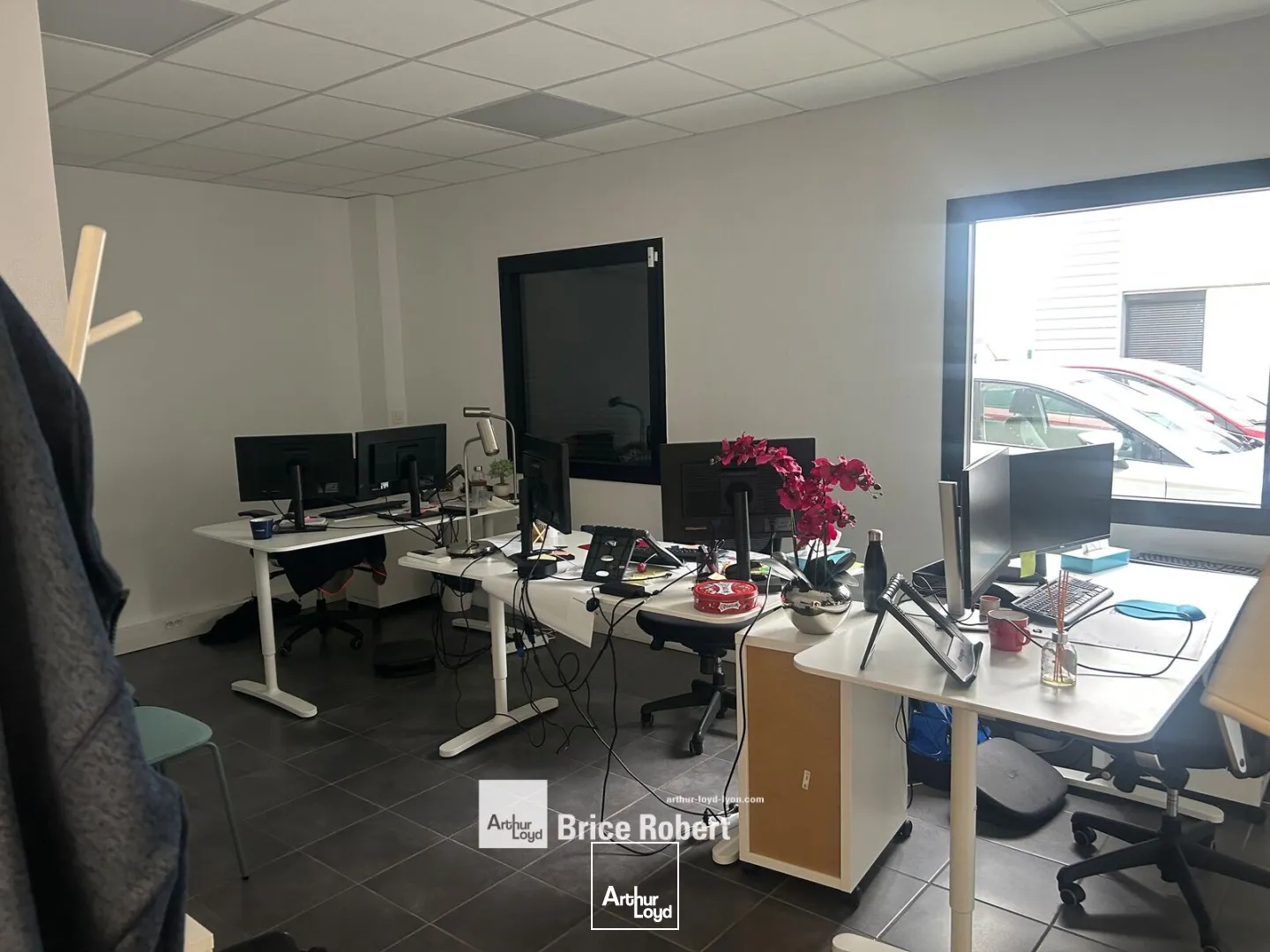 Locaux d'activité & Entrepôts - Location - CHASSIEU - 69680 - 293-293 - 7662106