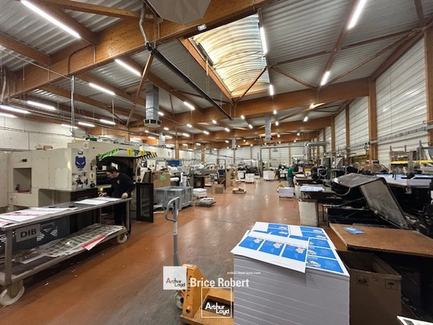 Locaux d'activité & Entrepôts - Location - MEYZIEU - 69330 - 2653-2653 - 7662191