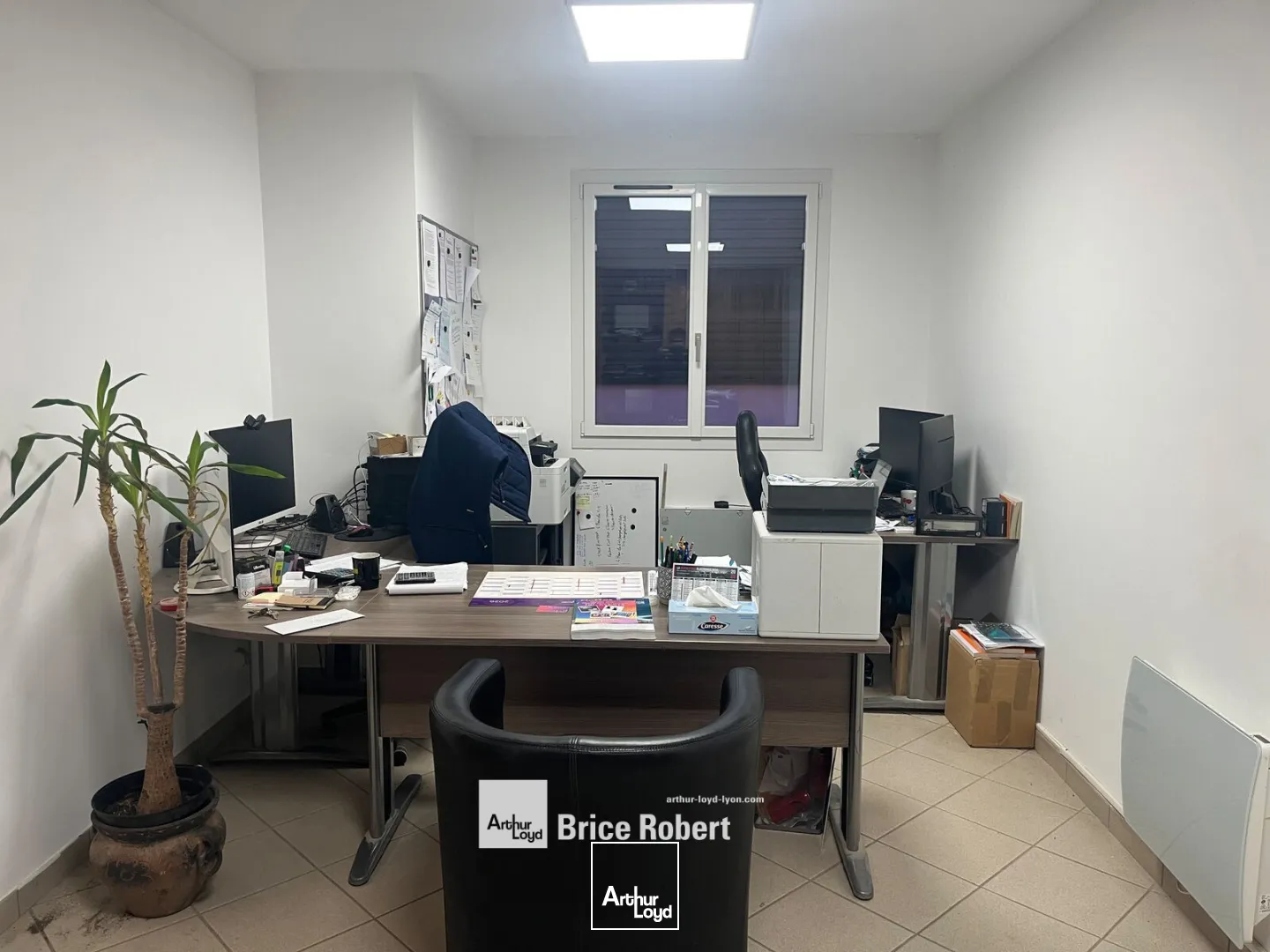 Locaux d'activité & Entrepôts - Location - SAINTE CONSORCE - 69280 - 160-340 - 7662209